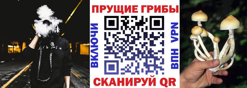 Купить закладки  Агидель  Галлюциногенные грибы прущие грибы 